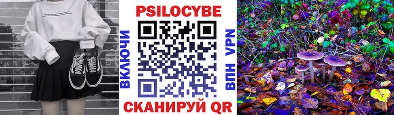 Галлюциногенные грибы Cubensis  Берёзовка 