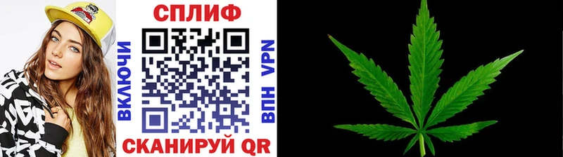 где продают наркотики Берёзовка Бошки Шишки гибрид